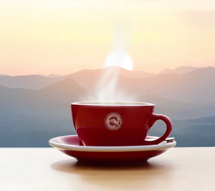 Connemara First Pick CTC Tea - Image 3